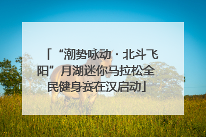 “潮势咏动・北斗飞阳”月湖迷你马拉松全民健身赛在汉启动