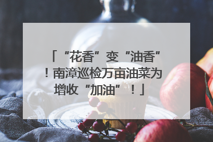 “花香”变“油香”！南漳巡检万亩油菜为增收“加油”！