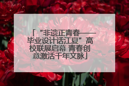 “非遗正青春——毕业设计话江夏”高校联展启幕 青春创意激活千年文脉