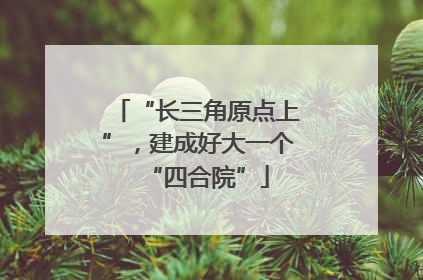 “长三角原点上”，建成好大一个“四合院”