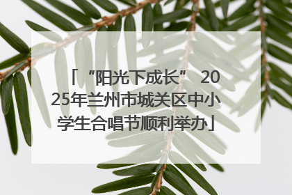 “阳光下成长” 2025年兰州市城关区中小学生合唱节顺利举办