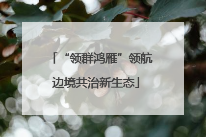 “领群鸿雁”领航边境共治新生态