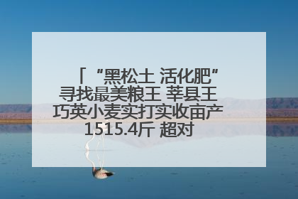 “黑松土 活化肥”寻找最美粮王 莘县王巧英小麦实打实收亩产1515.4斤 超对照田144斤！