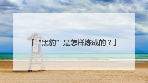 “黑豹”是怎样炼成的？