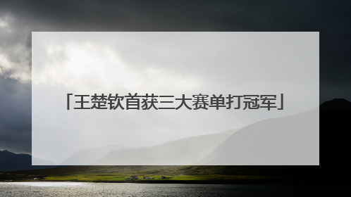 王楚钦首获三大赛单打冠军