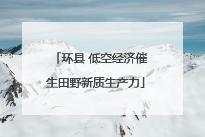 环县 低空经济催生田野新质生产力