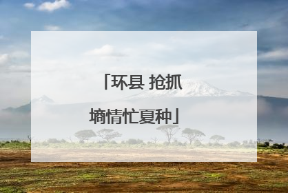 环县 抢抓墒情忙夏种