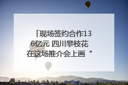 现场签约合作136亿元 四川攀枝花在这场推介会上画“图谱”列“清单”