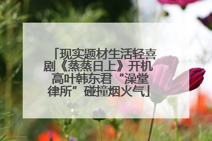 现实题材生活轻喜剧《蒸蒸日上》开机 高叶韩东君“澡堂律所”碰撞烟火气