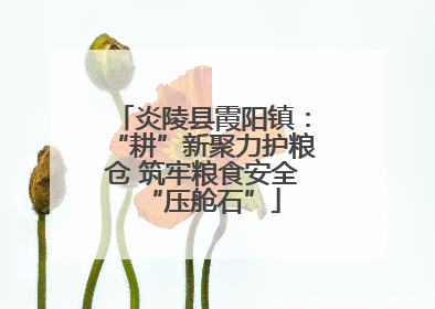 炎陵县霞阳镇：“耕”新聚力护粮仓 筑牢粮食安全“压舱石”