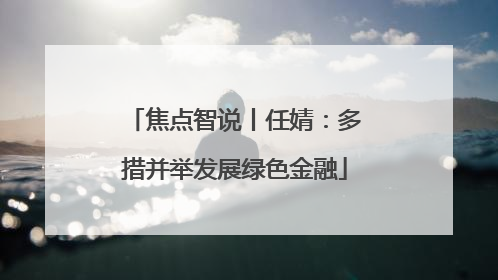焦点智说丨任婧：多措并举发展绿色金融