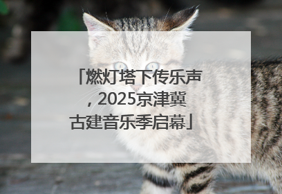 燃灯塔下传乐声，2025京津冀古建音乐季启幕