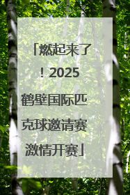 燃起来了！2025鹤壁国际匹克球邀请赛激情开赛