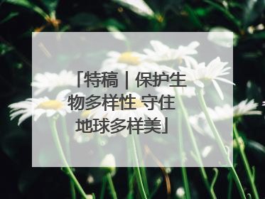 特稿｜保护生物多样性 守住地球多样美