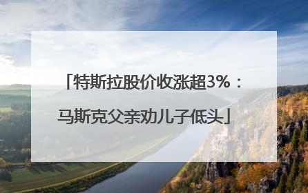 特斯拉股价收涨超3%：马斯克父亲劝儿子低头
