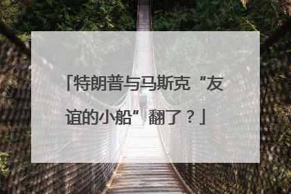 特朗普与马斯克“友谊的小船”翻了？
