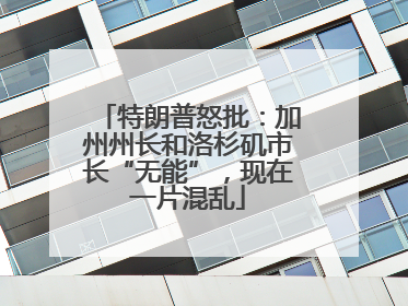 特朗普怒批：加州州长和洛杉矶市长“无能”，现在一片混乱
