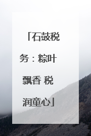 石鼓税务：粽叶飘香 税润童心