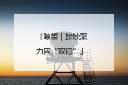 瞭望｜接续聚力固“双稳”