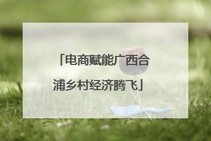 电商赋能广西合浦乡村经济腾飞