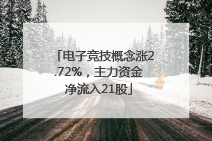 电子竞技概念涨2.72%，主力资金净流入21股