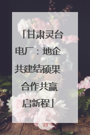 甘肃灵台电厂：地企共建结硕果 合作共赢启新程