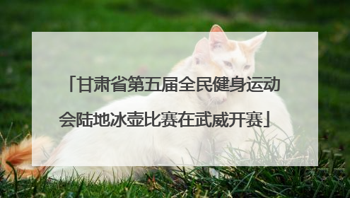 甘肃省第五届全民健身运动会陆地冰壶比赛在武威开赛