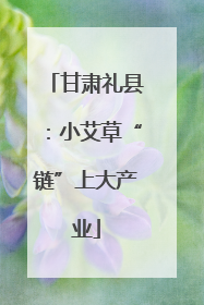 甘肃礼县：小艾草“链”上大产业