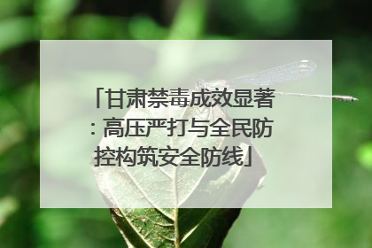 甘肃禁毒成效显著：高压严打与全民防控构筑安全防线
