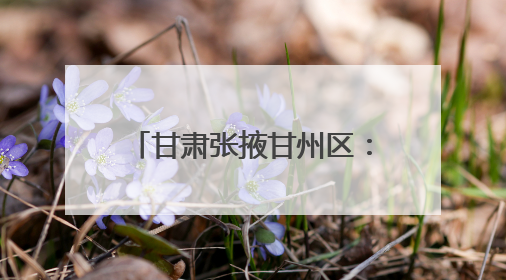 甘肃张掖甘州区：用好“金角银边” 增色宜居城市