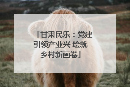 甘肃民乐：党建引领产业兴 绘就乡村新画卷