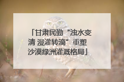 甘肃民勤“浊水变清 漫灌转滴”重塑沙漠绿洲灌溉格局