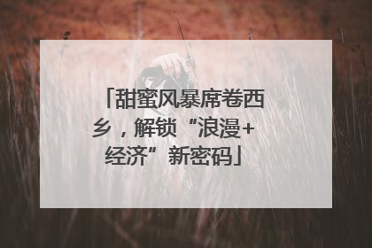 甜蜜风暴席卷西乡，解锁“浪漫+经济”新密码