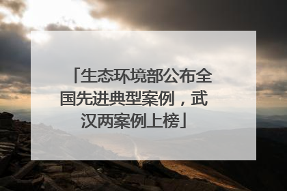 生态环境部公布全国先进典型案例，武汉两案例上榜