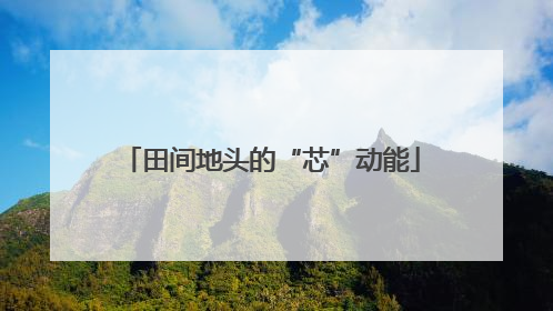 田间地头的“芯”动能