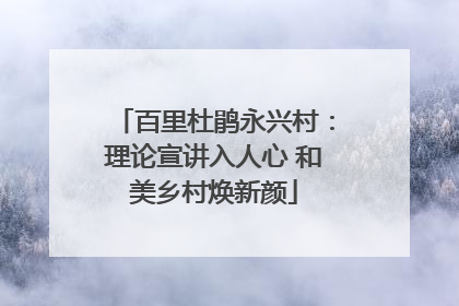 百里杜鹃永兴村：理论宣讲入人心 和美乡村焕新颜