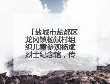 盐城市盐都区龙冈镇杨斌村组织儿童参观杨斌烈士纪念馆，传承红色基因