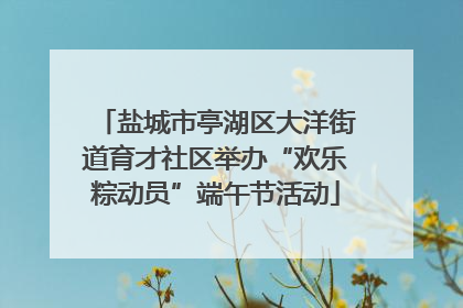 盐城市亭湖区大洋街道育才社区举办“欢乐粽动员”端午节活动