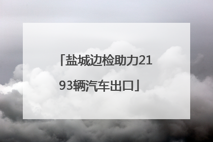 盐城边检助力2193辆汽车出口