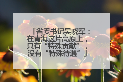 省委书记吴晓军：在青海这片高原上，只有“特殊贡献”，没有“特殊待遇”
