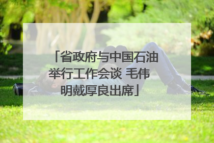 省政府与中国石油举行工作会谈 毛伟明戴厚良出席