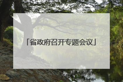 省政府召开专题会议
