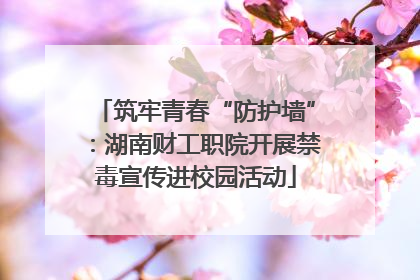 筑牢青春“防护墙”：湖南财工职院开展禁毒宣传进校园活动