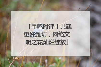 筝鸣时评丨共建更好潍坊，网络文明之花灿烂绽放