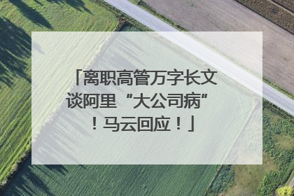 离职高管万字长文谈阿里“大公司病”！马云回应！