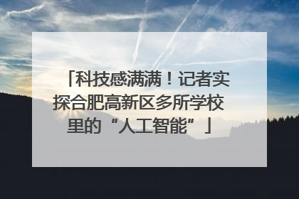 科技感满满！记者实探合肥高新区多所学校里的“人工智能”