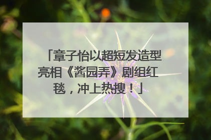 章子怡以超短发造型亮相《酱园弄》剧组红毯，冲上热搜！