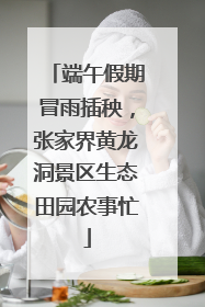 端午假期冒雨插秧，张家界黄龙洞景区生态田园农事忙