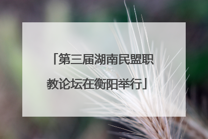 第三届湖南民盟职教论坛在衡阳举行
