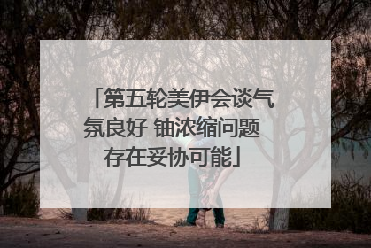 第五轮美伊会谈气氛良好 铀浓缩问题存在妥协可能